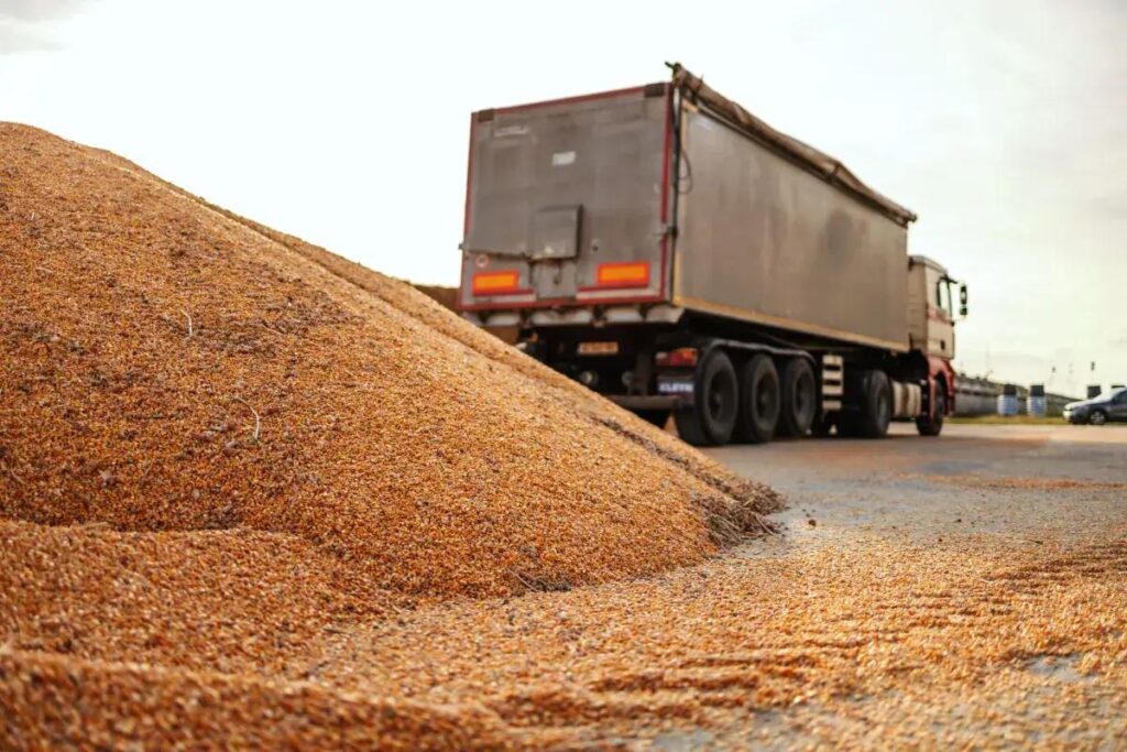 transportes carga agraneis