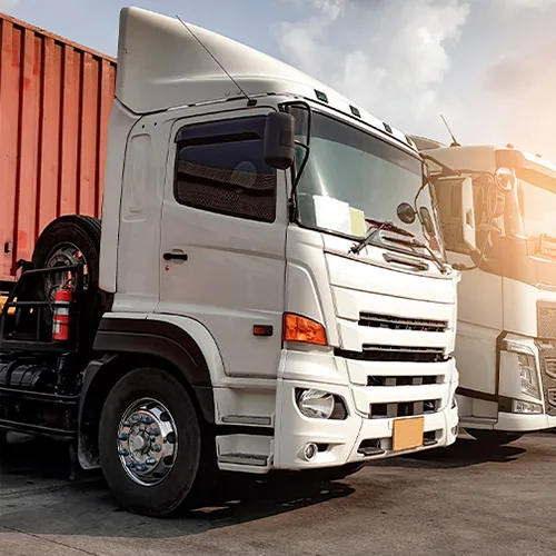 transporte para todo brasil